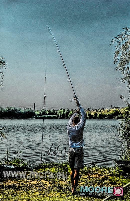 MeetCarp Romanian Awards 2013 (3) - 1017468hdrmode2-2.jpg